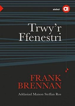 portada Cyfres Amdani: Trwy'r Ffenestri (in galés)
