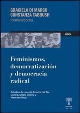 portada Feminismos Democratizaci? N y Democracia Real (in Spanish)