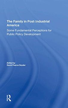 portada The Family in Postindustrial America: Some Fundamental Perceptions for Public Policy Development (en Inglés)