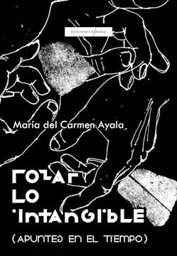portada Rozar lo Intangible (Apuntes en el Tiempo) (in Spanish)