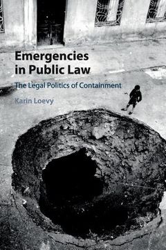portada Emergencies in Public Law: The Legal Politics of Containment 