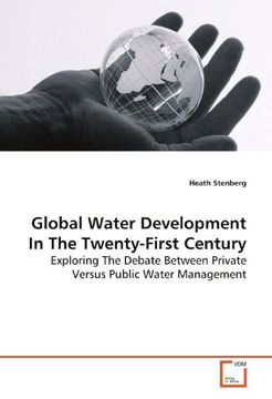 portada Global Water Development In The Twenty-First Century: Exploring The Debate Between Private Versus Public Water Management