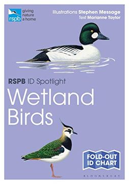 portada Rspb id Spotlight - Wetland Birds 