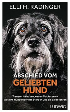 portada Abschied vom Geliebten Hund: Trauern, Loslassen, Neuen mut Fassen? Was uns Hunde Über das Sterben und die Liebe Lehren (in German)