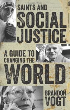 portada Saints and Social Justice: A Guide to Changing the World (in English)