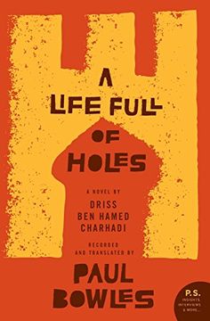 portada A Life Full of Holes (P. S. ) (in English)