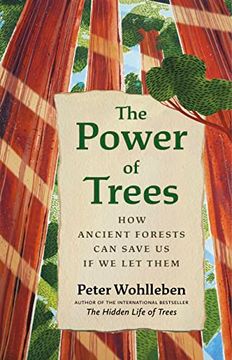 portada The Power of Trees: How Ancient Forests can Save us if we let Them (David Suzuki Institute) (en Inglés)