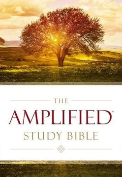 portada The Amplified Study Bible, Hardcover (in English)
