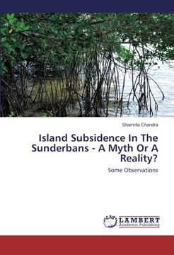portada Island Subsidence in the Sunderbans - A Myth or a Reality?