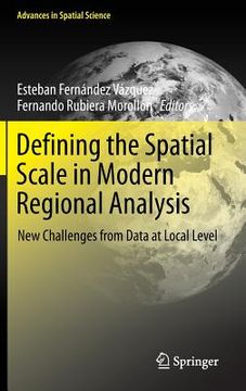 portada defining the spatial scale in modern regional analysis: new challenges from data at local level