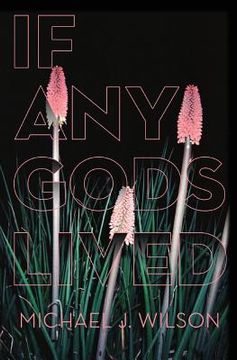 portada If any Gods Lived: Poems (in English)