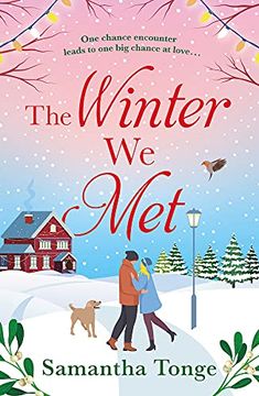 portada The Winter we met (en Inglés)