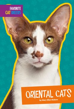 portada Oriental Cats (Favorite cat Breeds) (en Inglés)