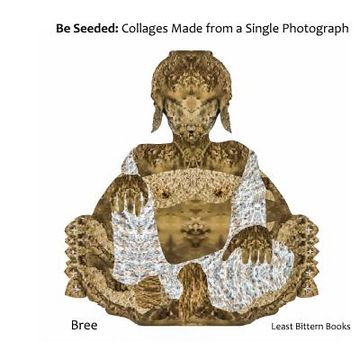 portada Be Seeded: Collages Made from a Single Photograph (en Inglés)