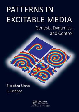 portada Patterns in Excitable Media: Genesis, Dynamics, and Control (en Inglés)