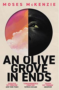 portada An Olive Grove in Ends: The Dazzling Debut Novel About Love, Faith and Community, by an Electrifying new Voice (en Inglés)