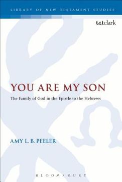 portada You Are My Son: The Family of God in the Epistle to the Hebrews (en Inglés)