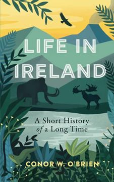 portada Life in Ireland: A Short History of a Long Time (en Inglés)
