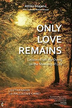 portada Only Love Remains: Lessons from the Dying on the Meaning of Life: Euthanasia or Palliative Care? (en Inglés)