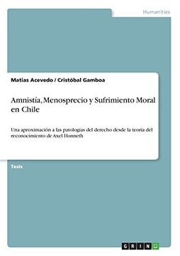 portada Amnistía, Menosprecio y Sufrimiento Moral en Chile