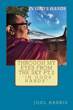 portada Through My Eyes From The Sky, Part 2; In God's Hands (en Inglés)