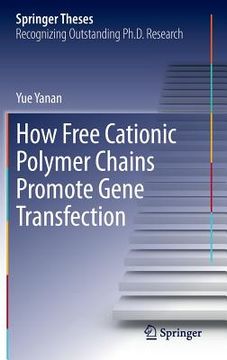 portada How Free Cationic Polymer Chains Promote Gene Transfection (en Inglés)