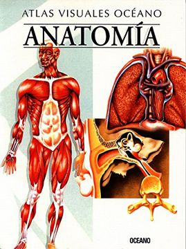 portada anatomia/ anatomy