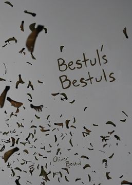 portada Bestul's Bestuls (en Inglés)