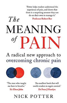 portada The Meaning of Pain: A Radical new Approach to Overcoming Chronic Pain (en Inglés)