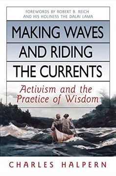 portada Making Waves and Riding the Currents. Activism and the Practice of Wisdom. (bk Currents) (en Inglés)