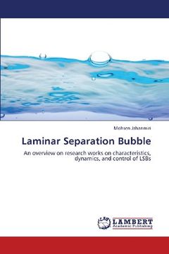 portada Laminar Separation Bubble