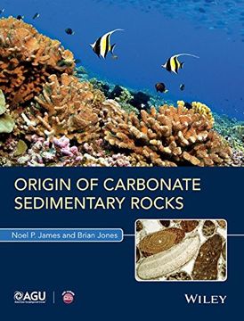 portada Origin Of Carbonate Sedimentary Rocks (wiley Works)