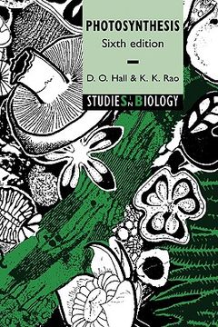 portada Photosynthesis (Studies in Biology) (in English)