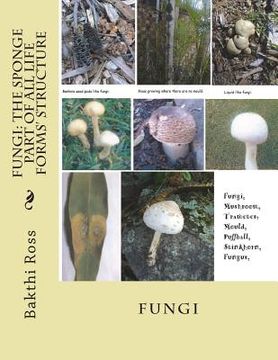 portada Fungi: The Sponge Part of All Life Forms' Structure: Fungi