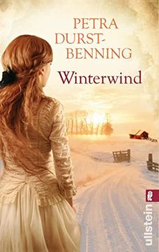 portada Winterwind (in German)