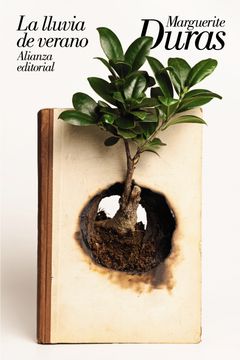 portada La Lluvia de Verano