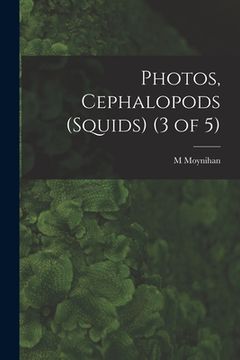 portada Photos, Cephalopods (Squids) (3 of 5) (en Inglés)