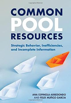 portada Common Pool Resources: Strategic Behavior, Inefficiencies, and Incomplete Information (in English)