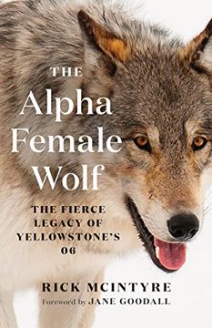 portada The Alpha Female Wolf: The Fierce Legacy of Yellowstone'S 06