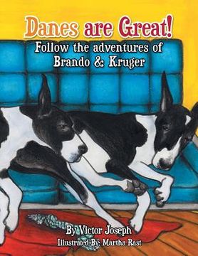 portada The Sleepover & It's Snowing: Follow the Adventures of Brando and Kruger (en Inglés)