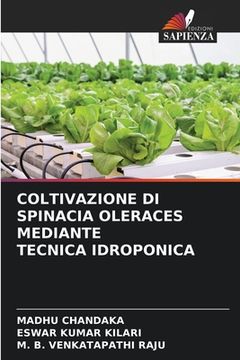 portada Coltivazione Di Spinacia Oleraces Mediante Tecnica Idroponica (in Italian)