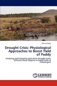portada drought crisis: physiological approaches to boost yield of paddy (in English)