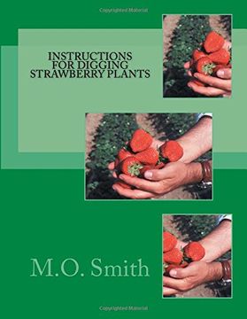 portada Instructions For Digging Strawberry Plants