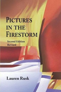 portada Pictures in the Firestorm, Second Edition