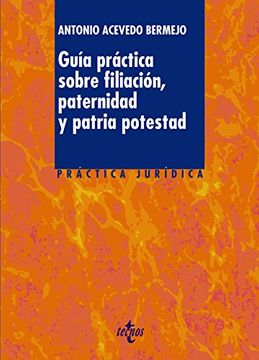portada Guía Práctica Sobre Filiación, Paternidad y Patria Potestad (Derecho - Práctica Jurídica) (in Spanish)