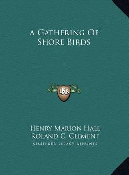 portada a gathering of shore birds a gathering of shore birds