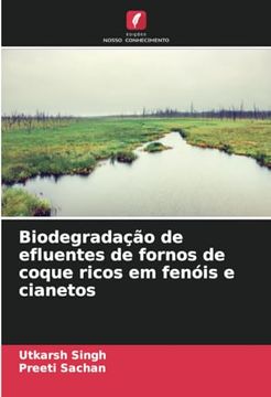 portada Biodegradação de Efluentes de Fornos de Coque Ricos em Fenóis e Cianetos