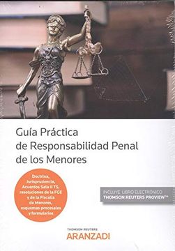 portada Guia Práctica de Responsabilidad Penal de los Menores (en Inglés)