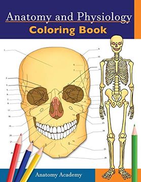 portada Anatomy and Physiology Coloring Book: Incredibly Detailed Self-Test Color Workbook for Studying | Perfect Gift for Medical School Students, Doctors, Nurses and Adults (en Inglés)