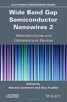 portada Wide Band Gap Semiconductor Nanowires 2: Heterostructures and Optoelectronic Devices (en Inglés)